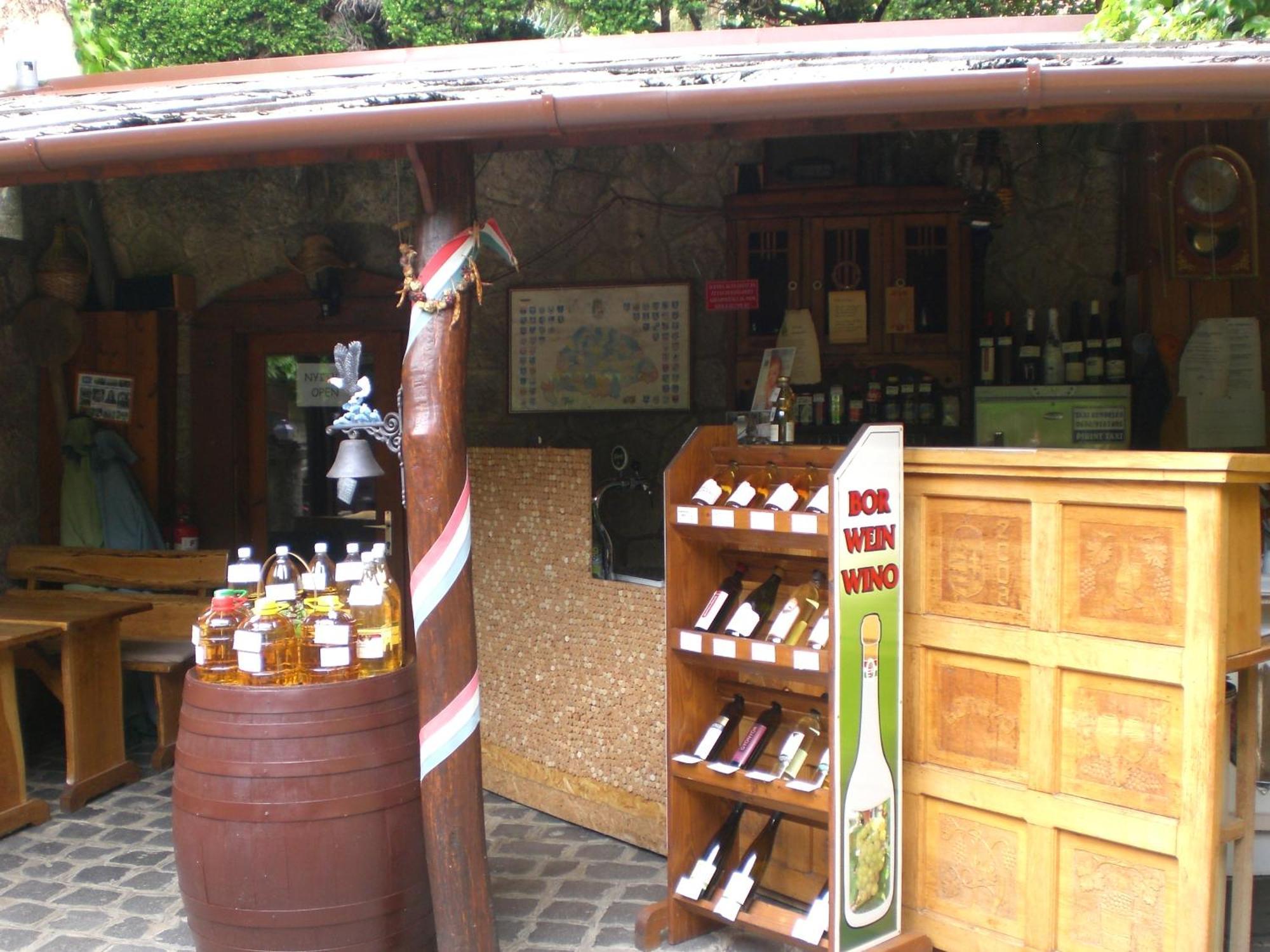 Boene Vendeghaz Es Borozo Διαμέρισμα Tokaj Εξωτερικό φωτογραφία
